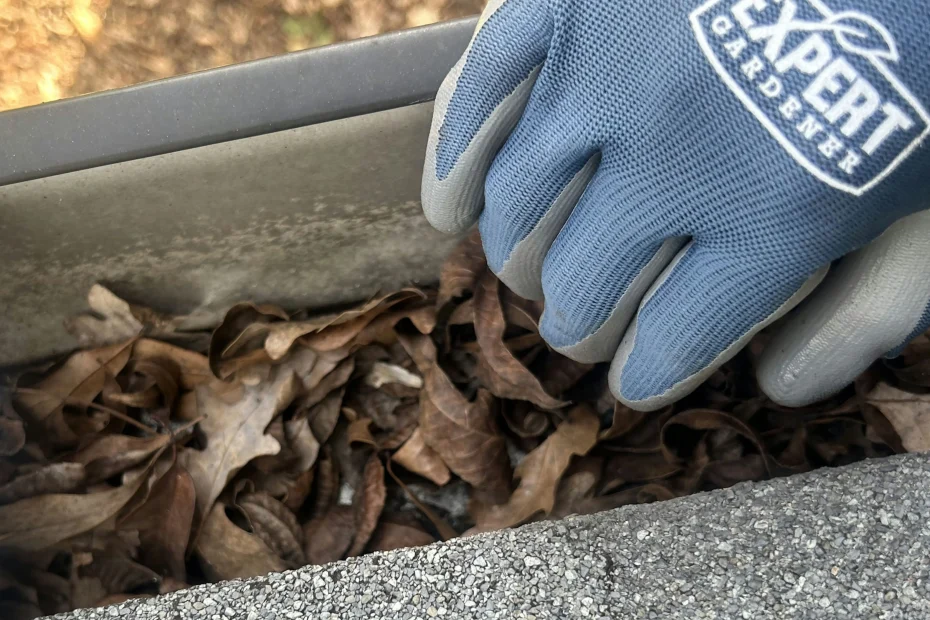 Gutter Cleaning Rural Hall