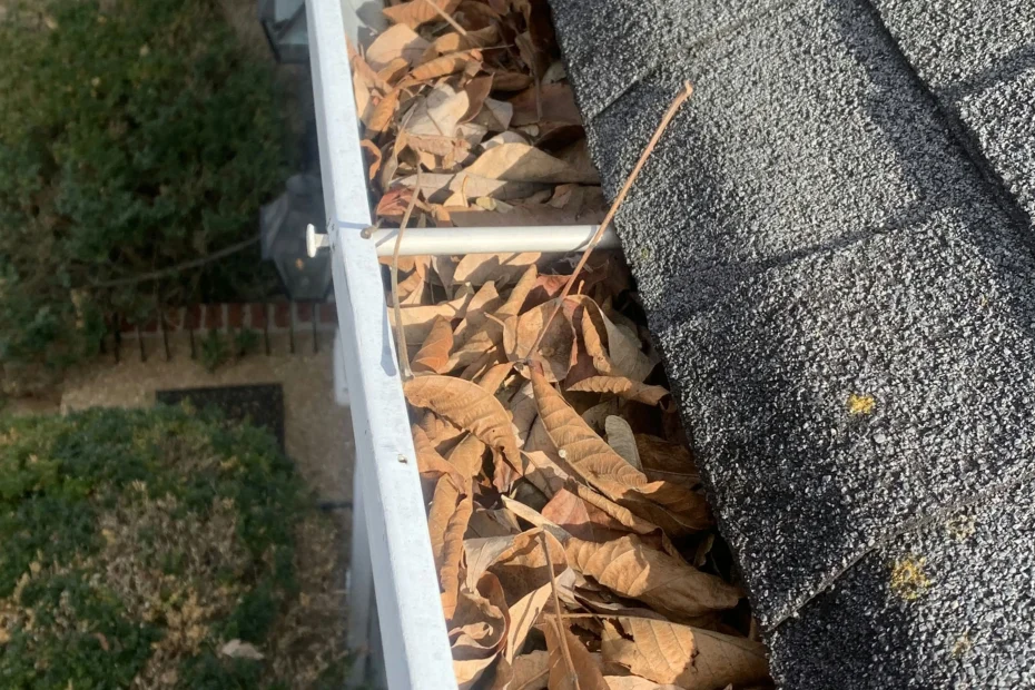 Gutter Cleaning Rural Hall